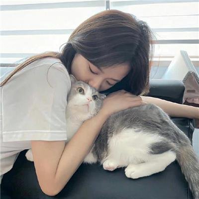 派特森与芬达猫